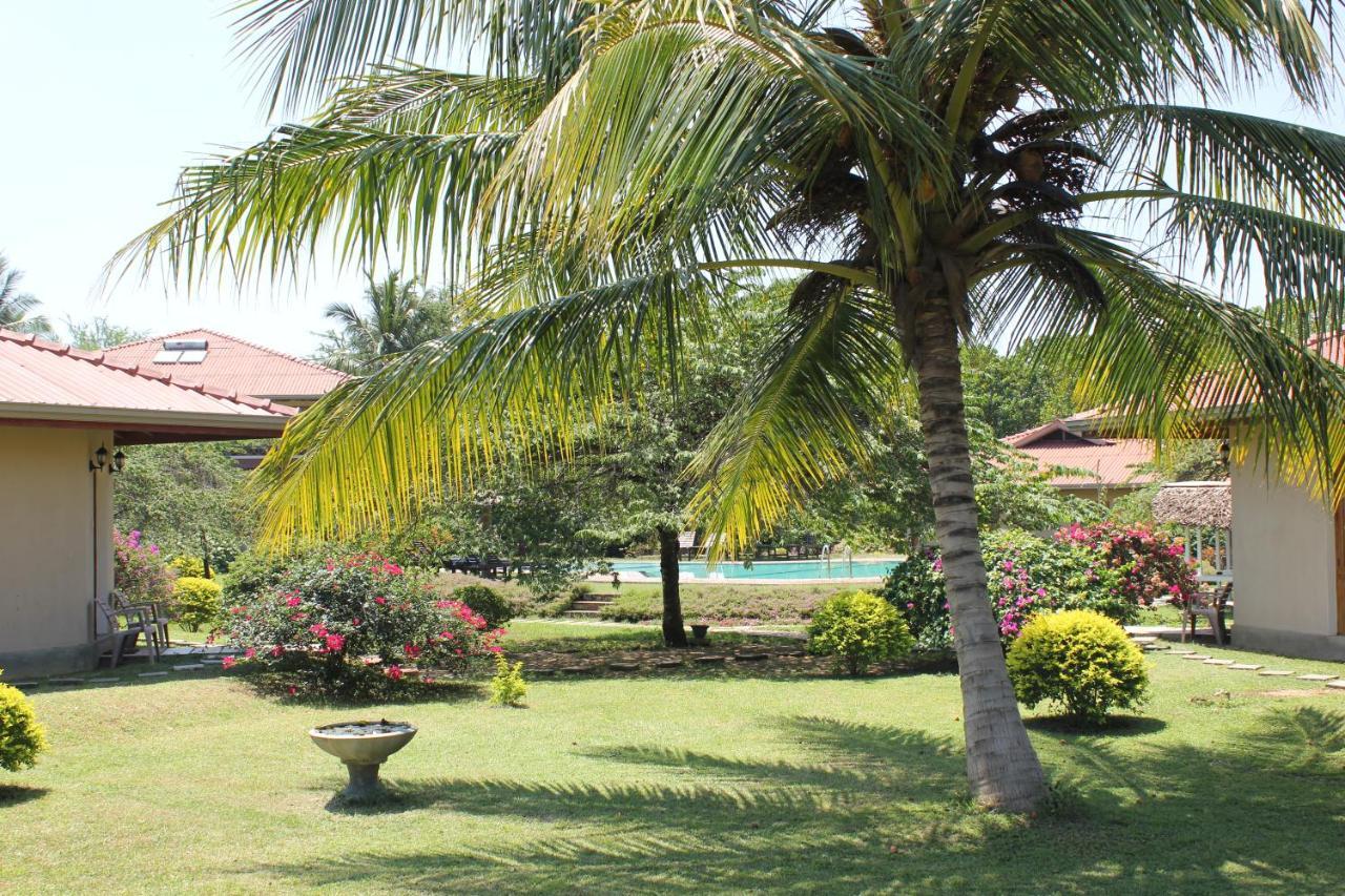 Hibiscus Garden Hotel Тіссамахарама Екстер'єр фото