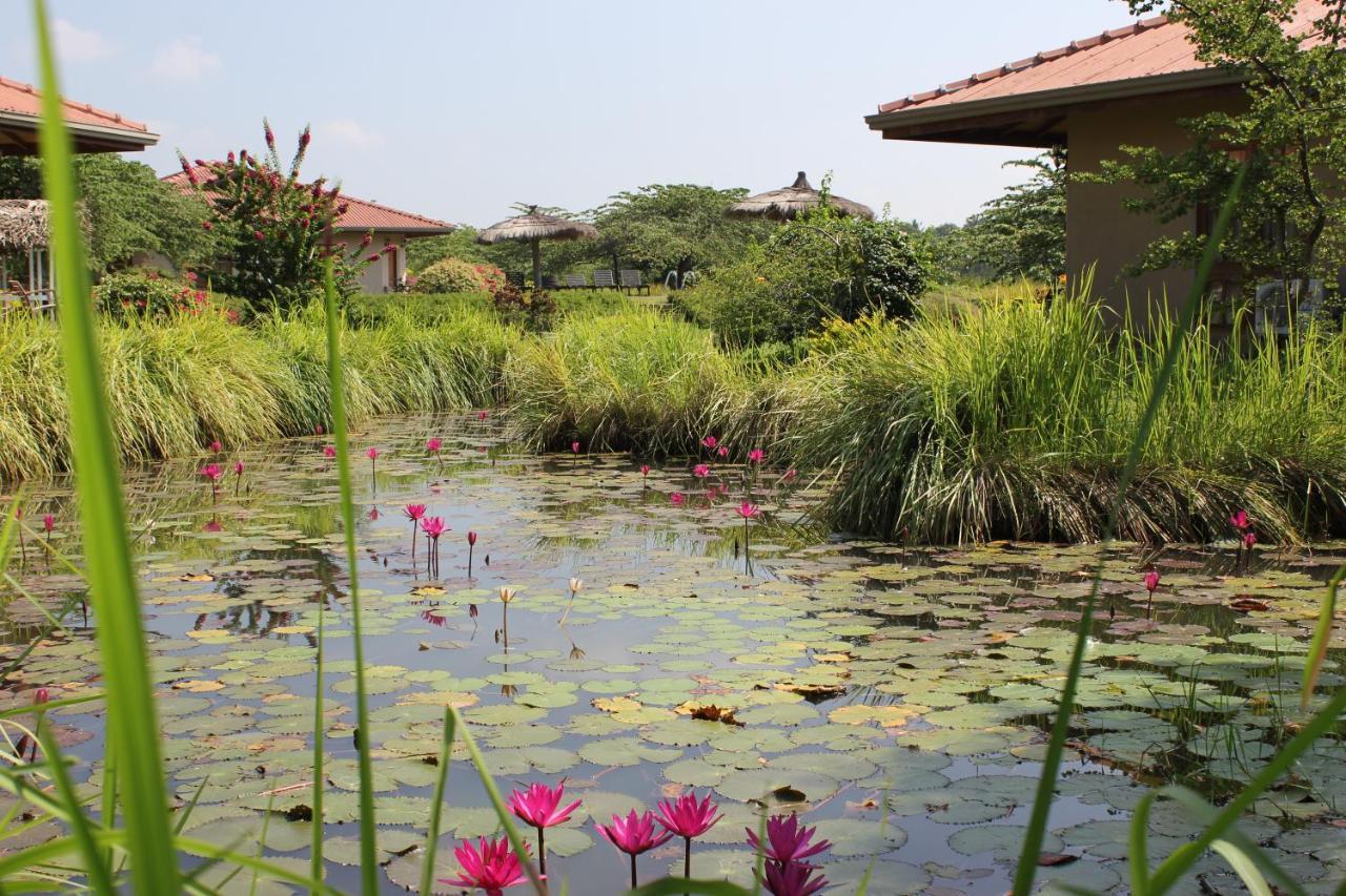 Hibiscus Garden Hotel Тіссамахарама Екстер'єр фото